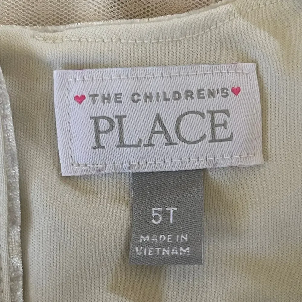 The Children’s Place Ivory Velvet & Tulle Dress Size 5T